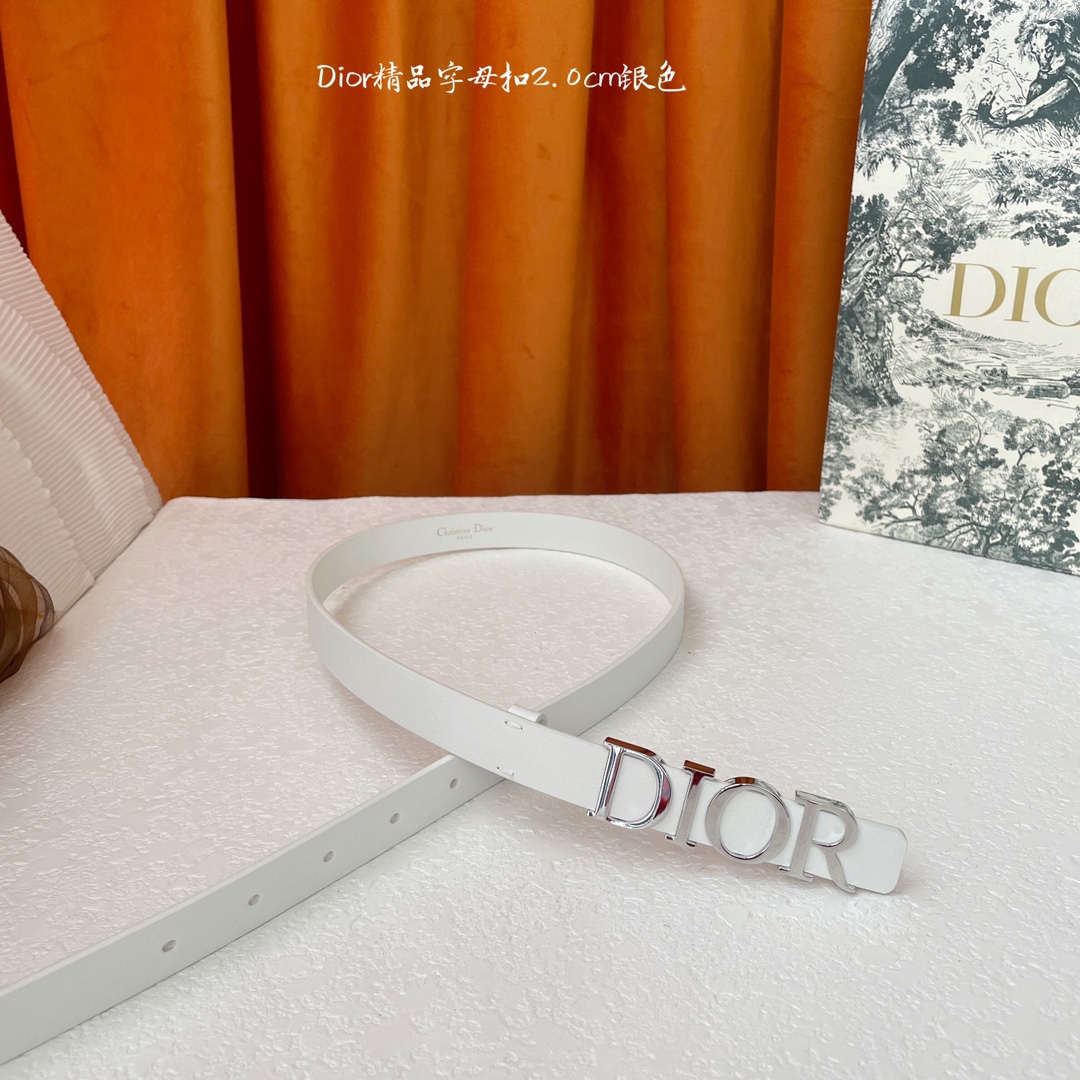 Dior-Belts