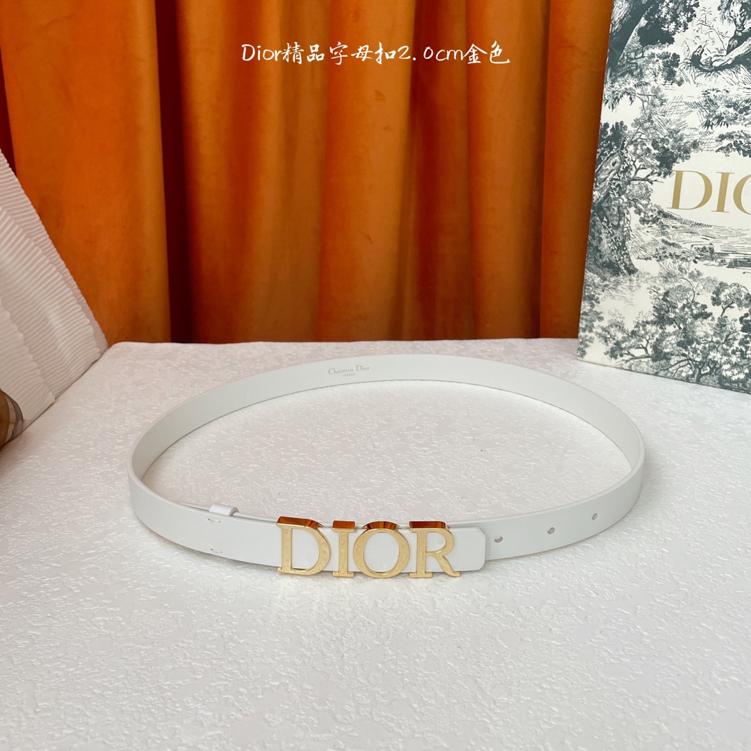 Dior-Belts